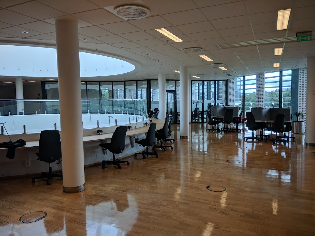 Akadeemia Nord photo 5