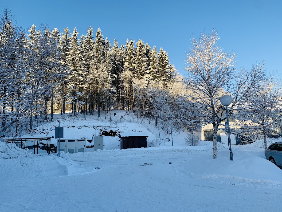 Akadeemia Nord photo 6