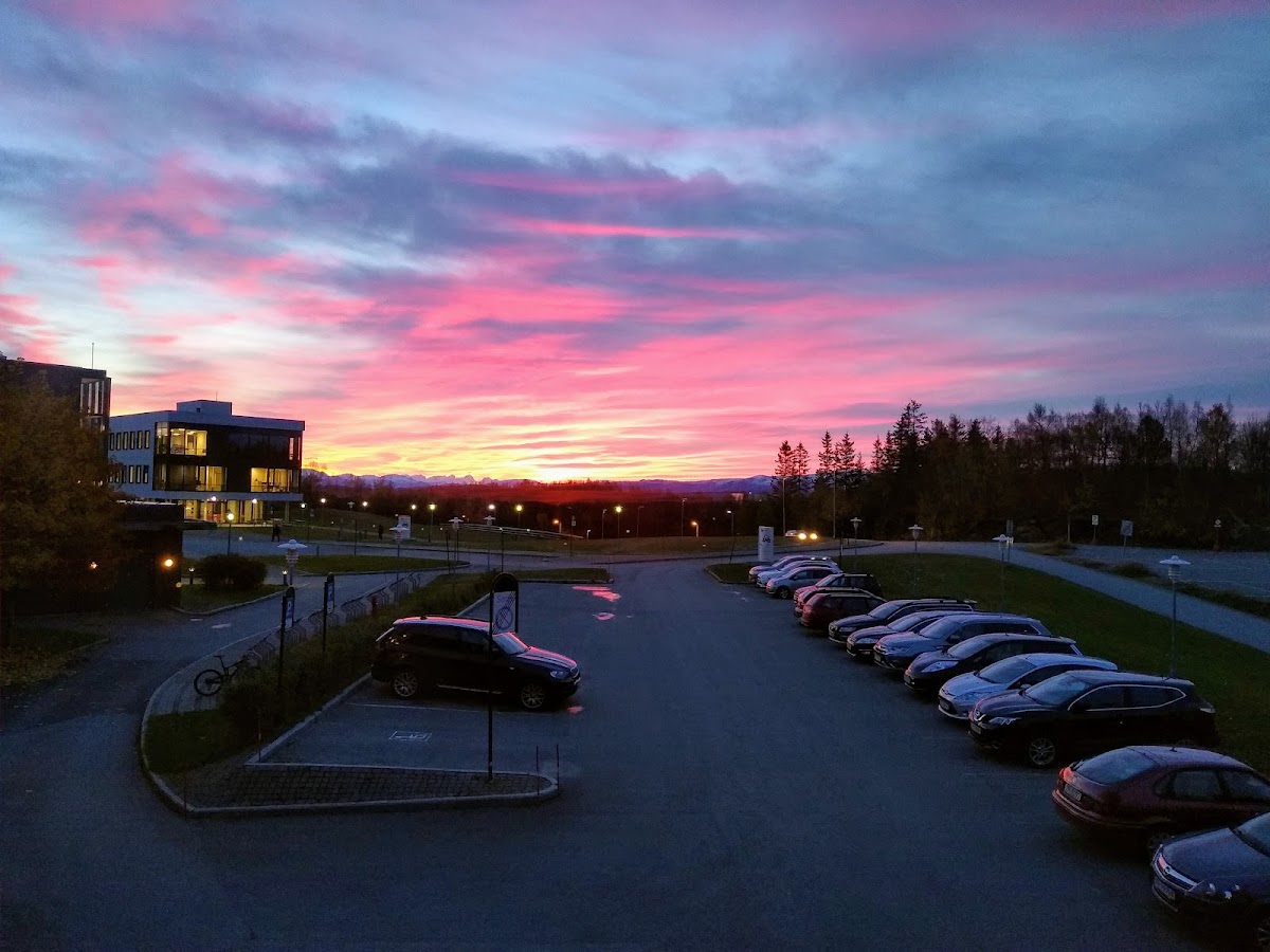 Akadeemia Nord photo 7