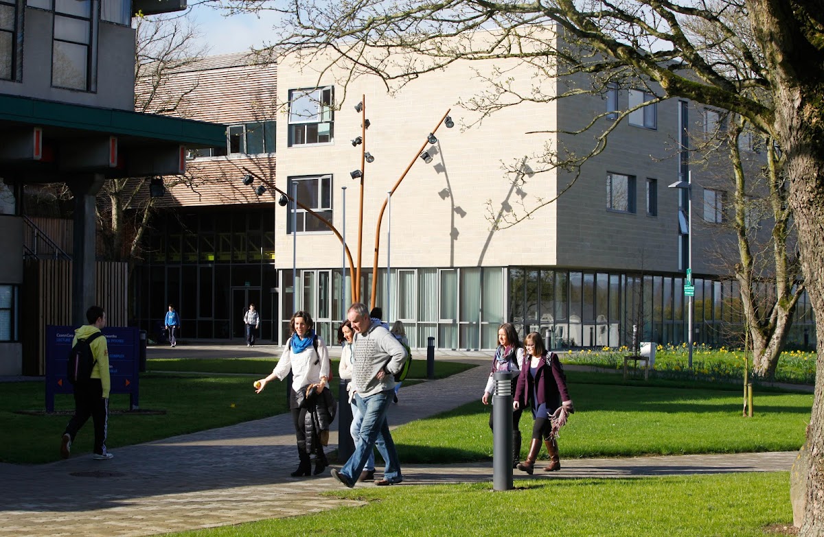Mary Immaculate College photo 2