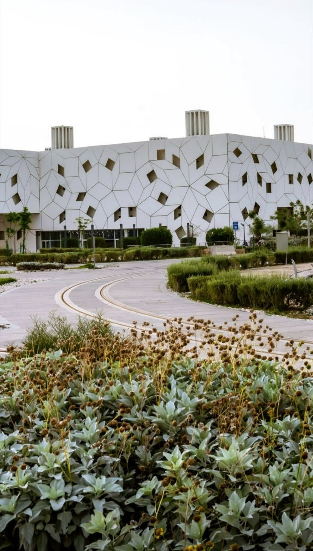 Hamad Bin Khalifa University (HBKU) photo 9