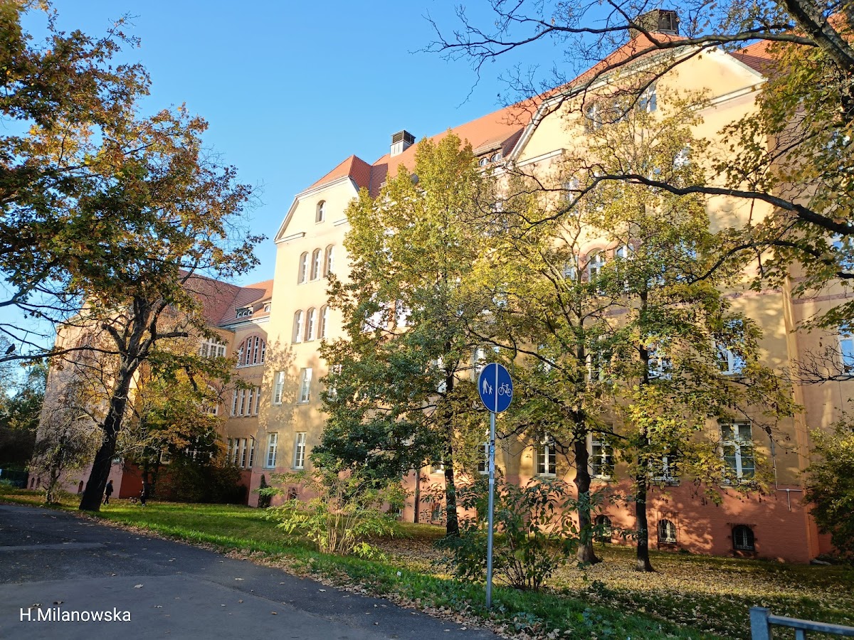 Wroclaw University of Economics and Business photo 3
