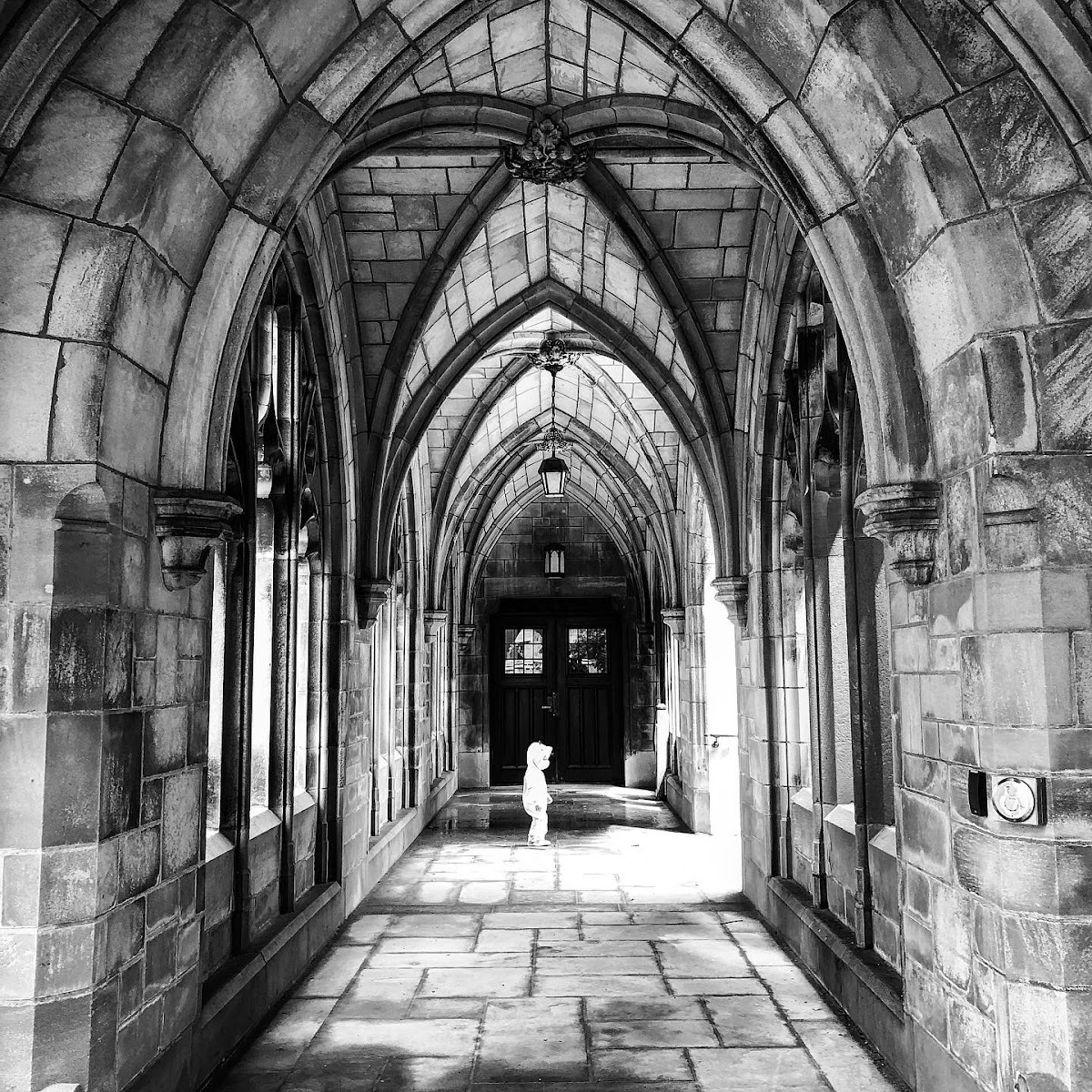 Regional University 2134 photo 9