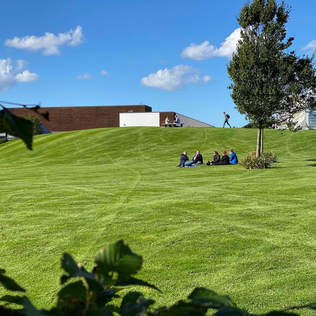 University of Stavanger photo 7