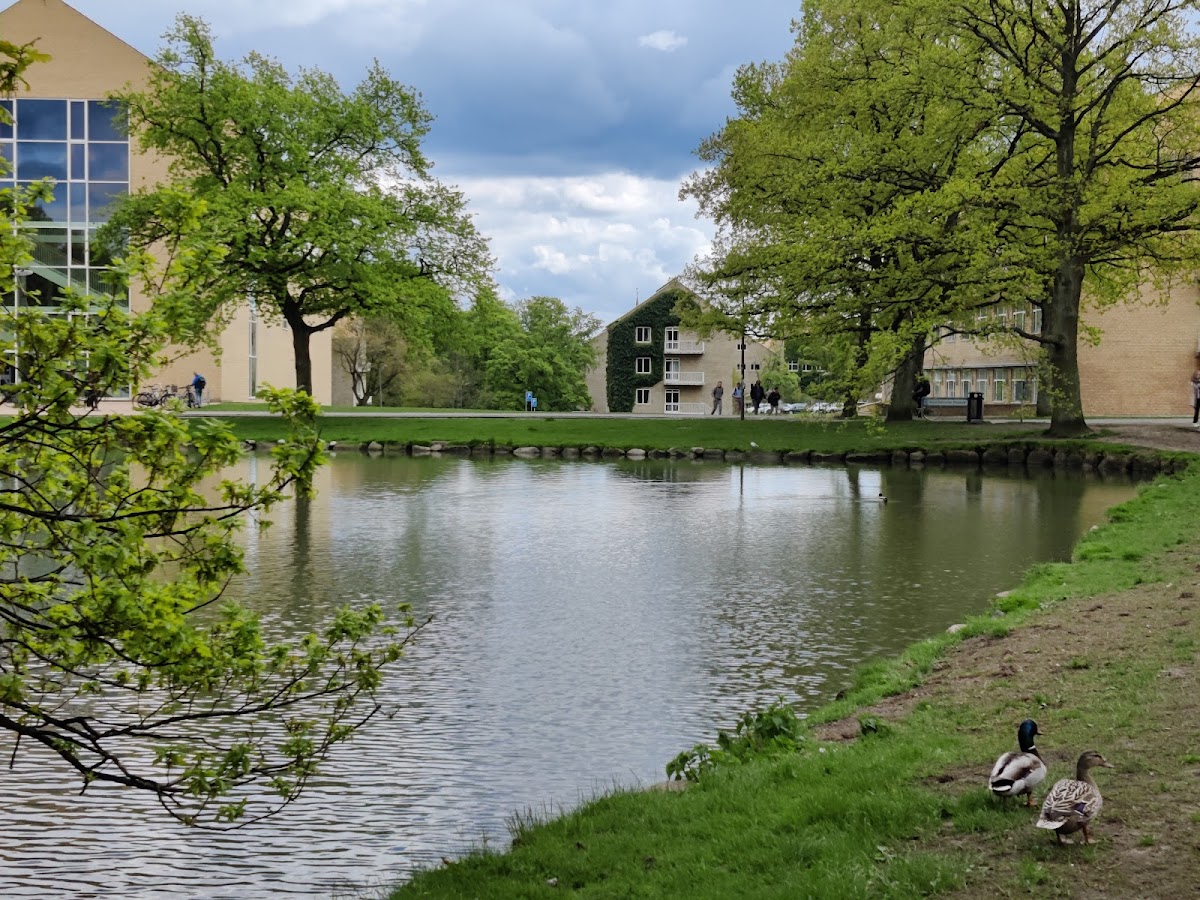 Aarhus University photo 4