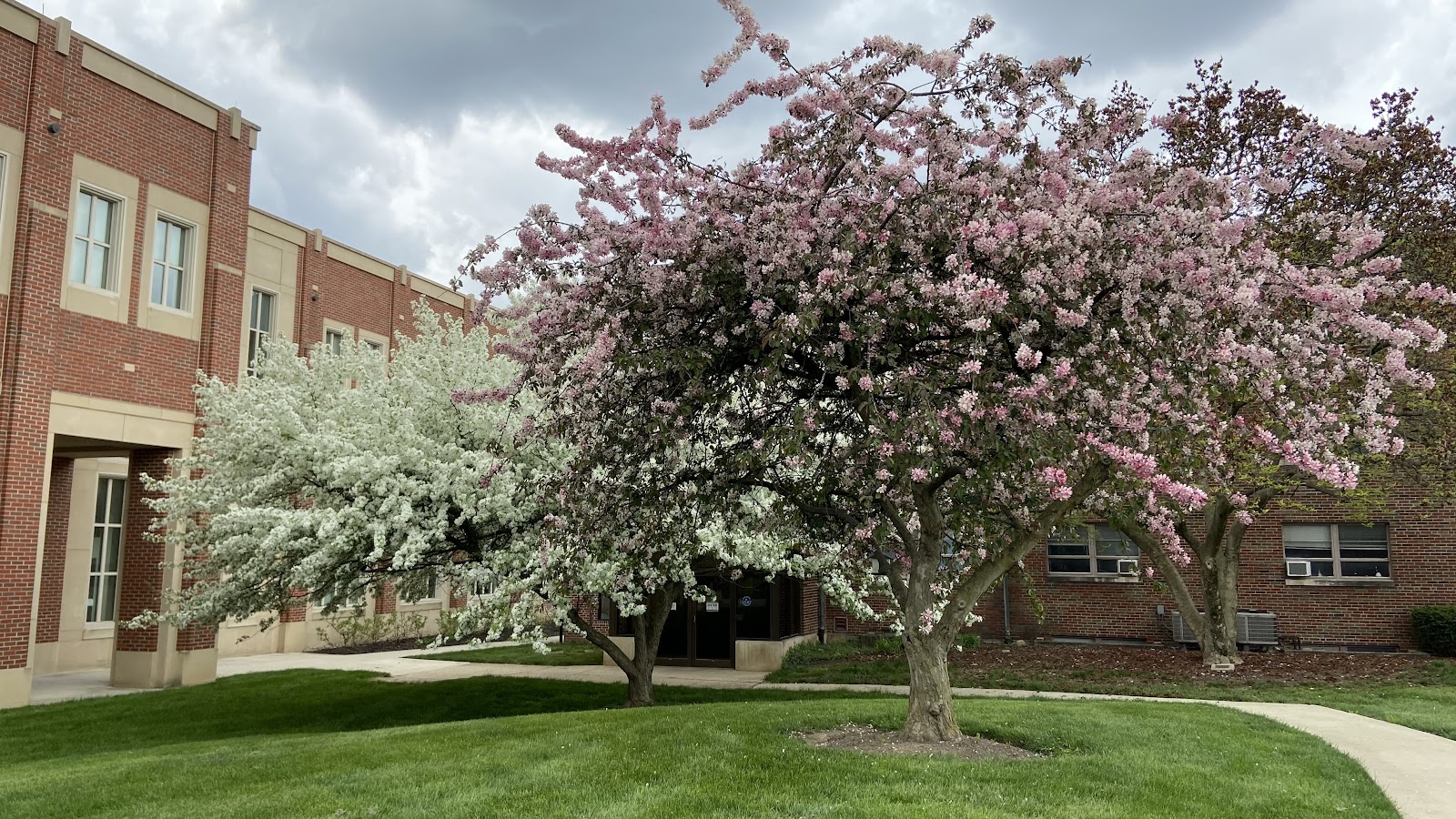 Capital University