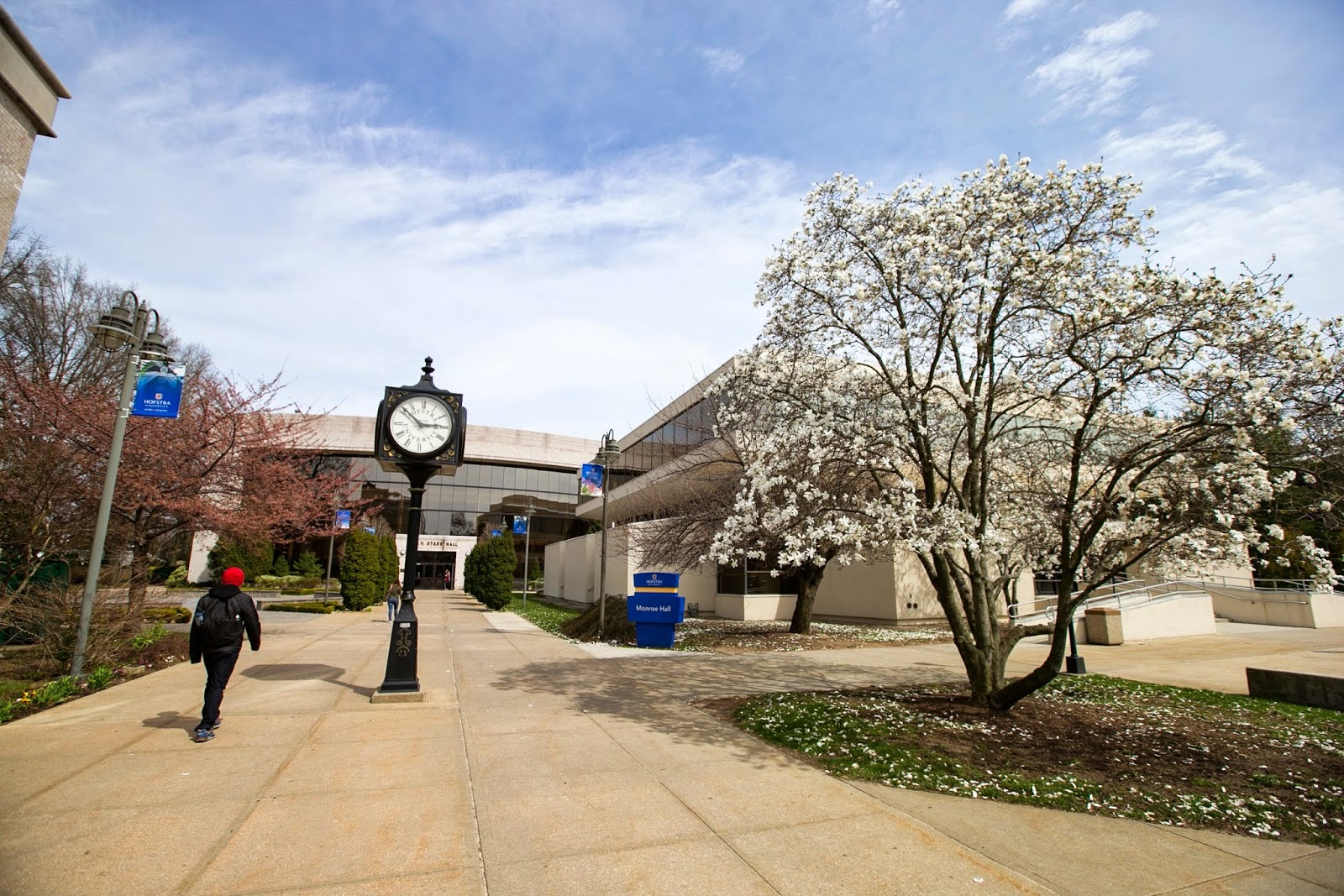 Hempstead