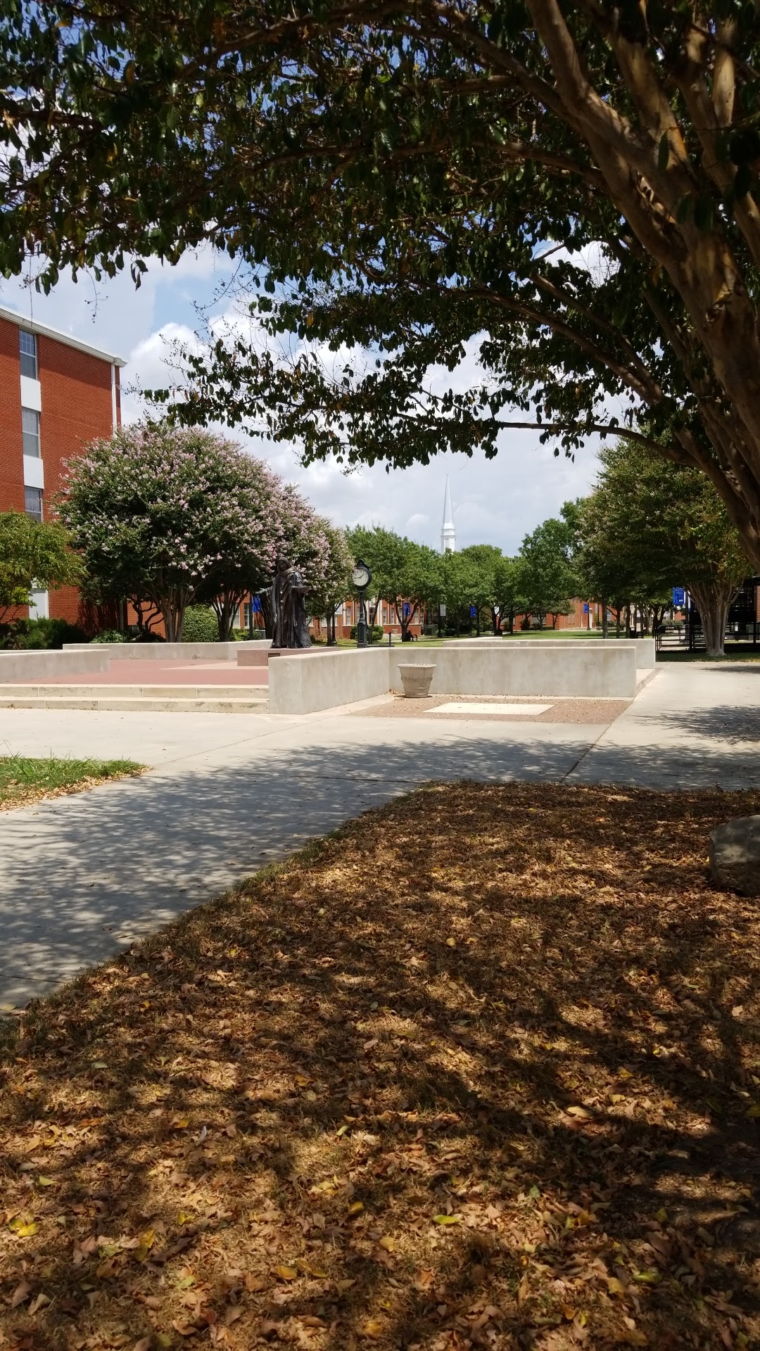 Howard Payne University photo 7