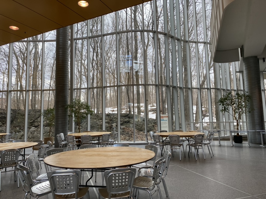 HEC Montreal photo 7