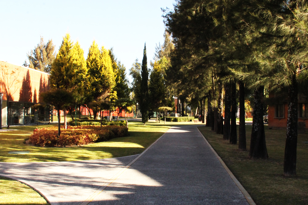 University of the Americas Puebla campus