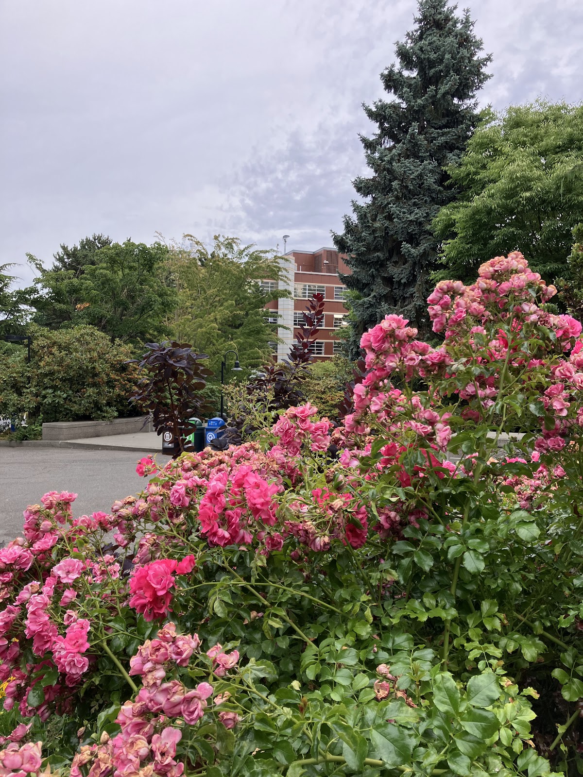 University of 3343 photo 8