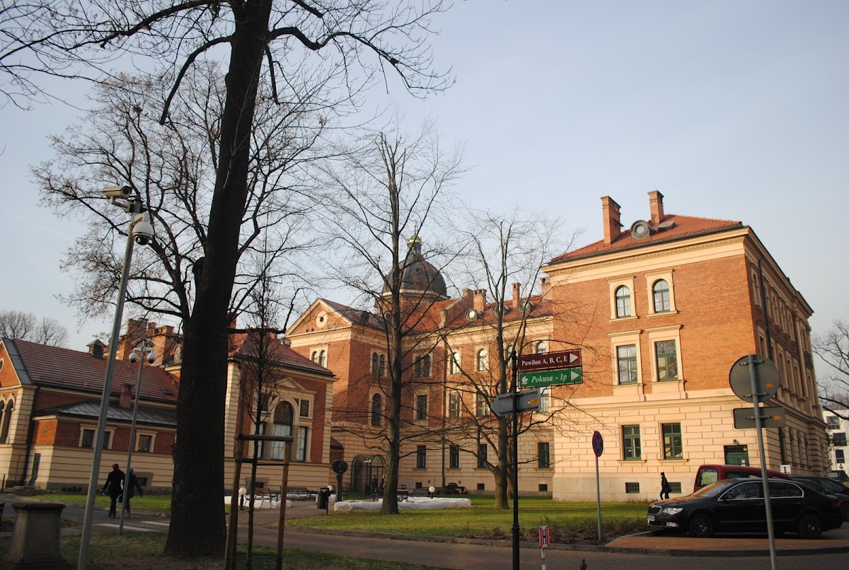 University of Economics in Kraków photo 1