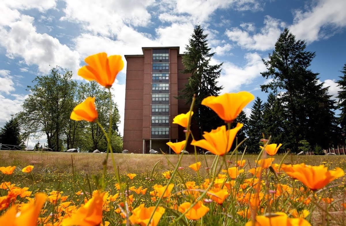 Pacific Lutheran photo 5