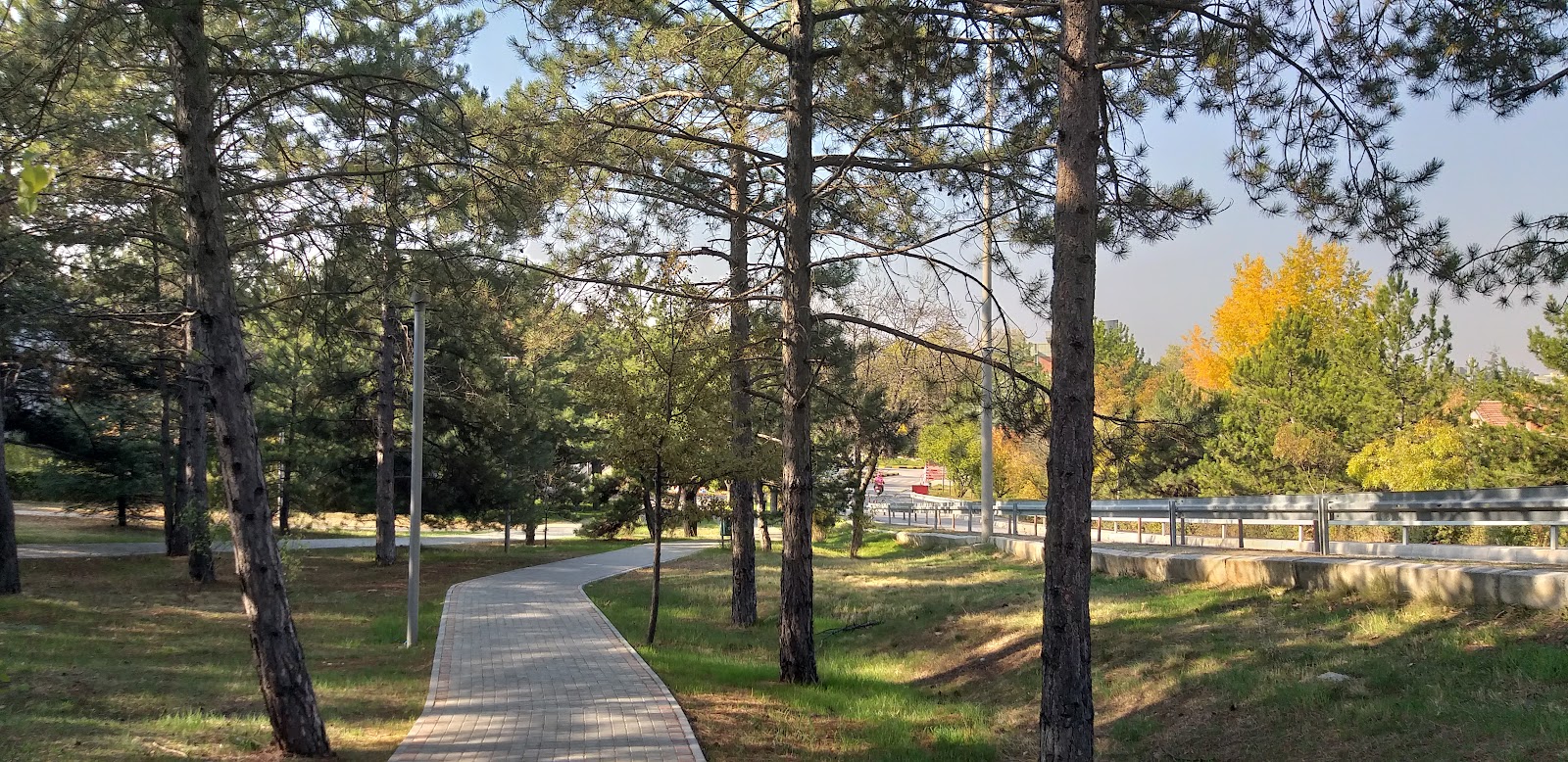Middle East Technical University (METU)