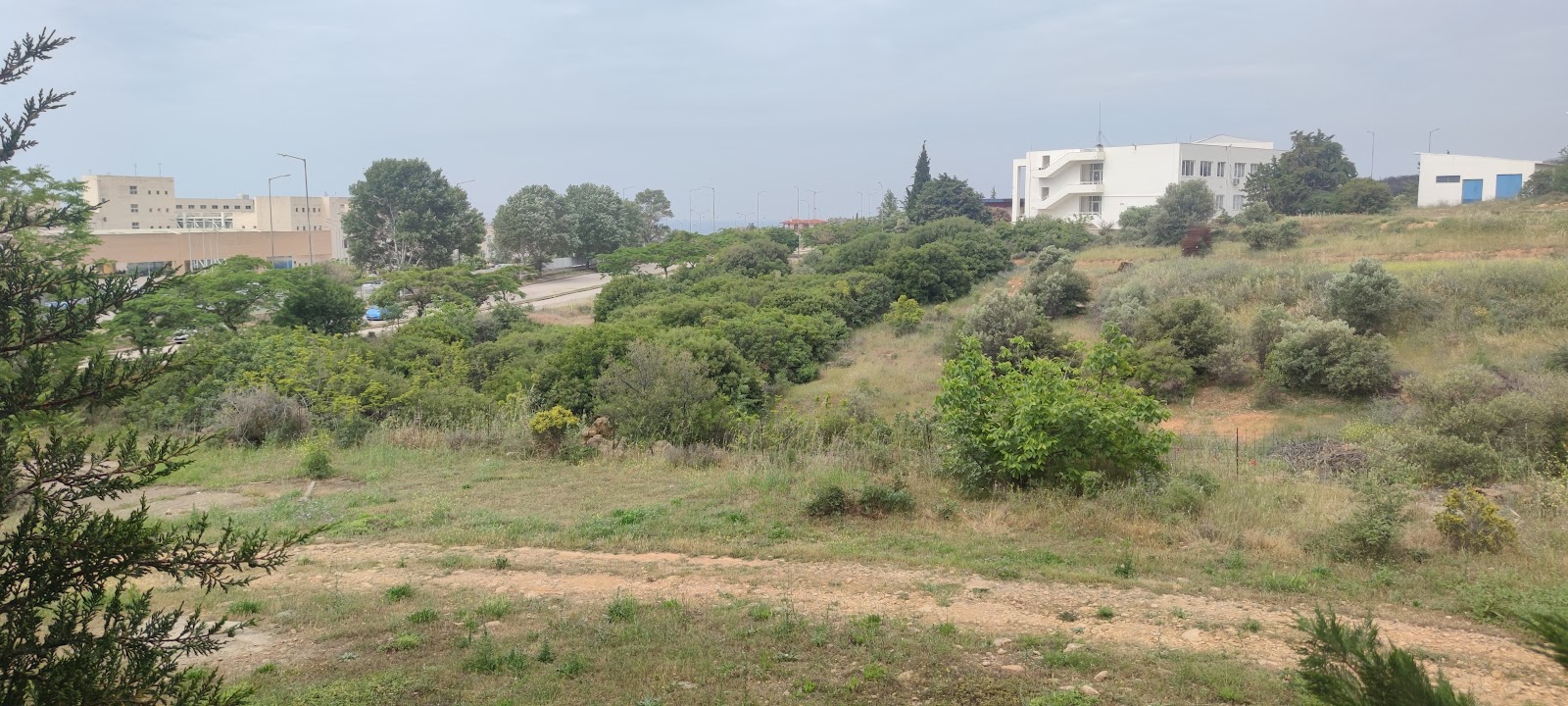 Democritus University of Thrace (Alexandroupoli)