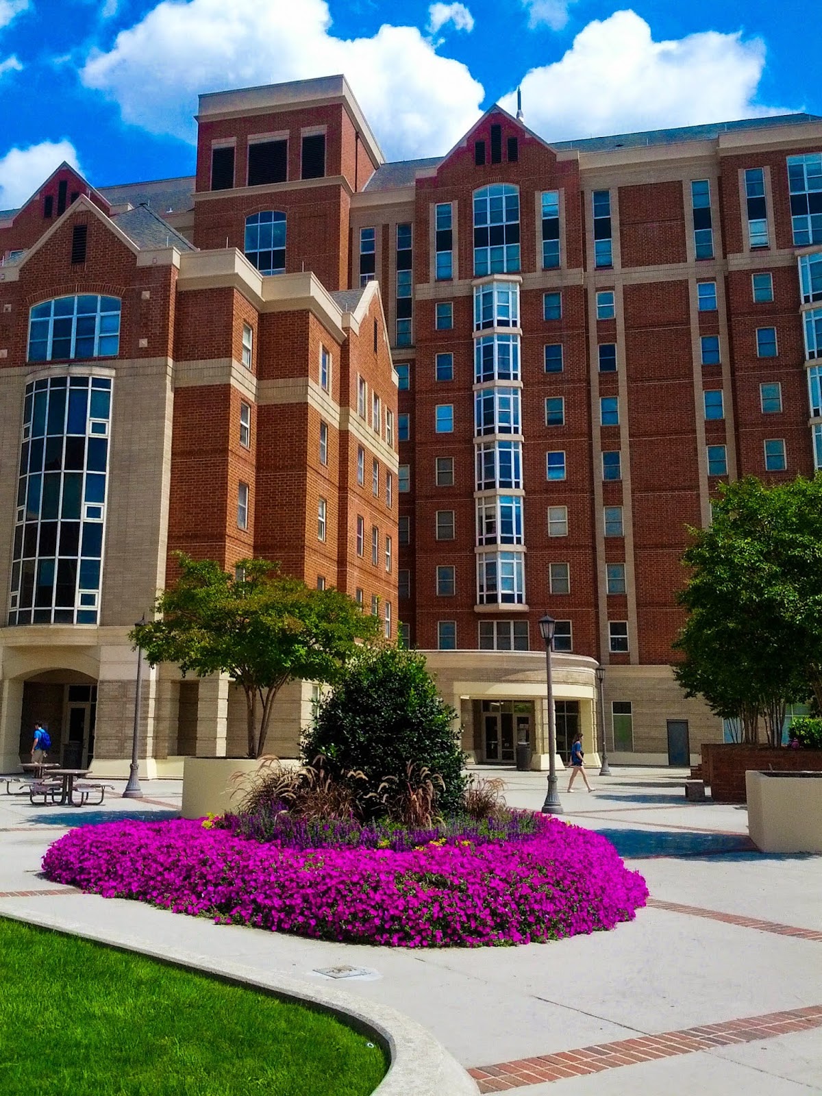 Institute of Technology 2221 photo 7