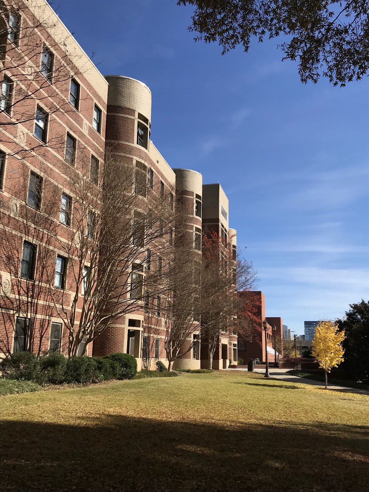 Institute of Technology 2221 photo 8