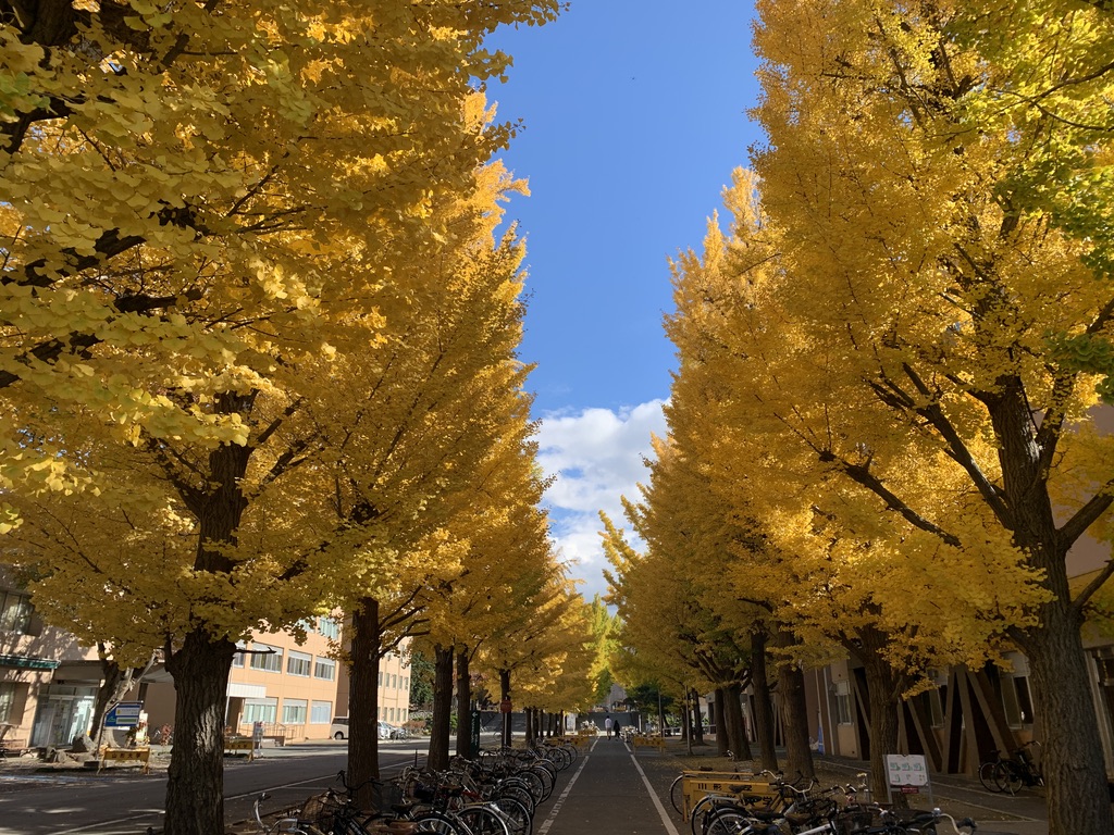 Yamagata