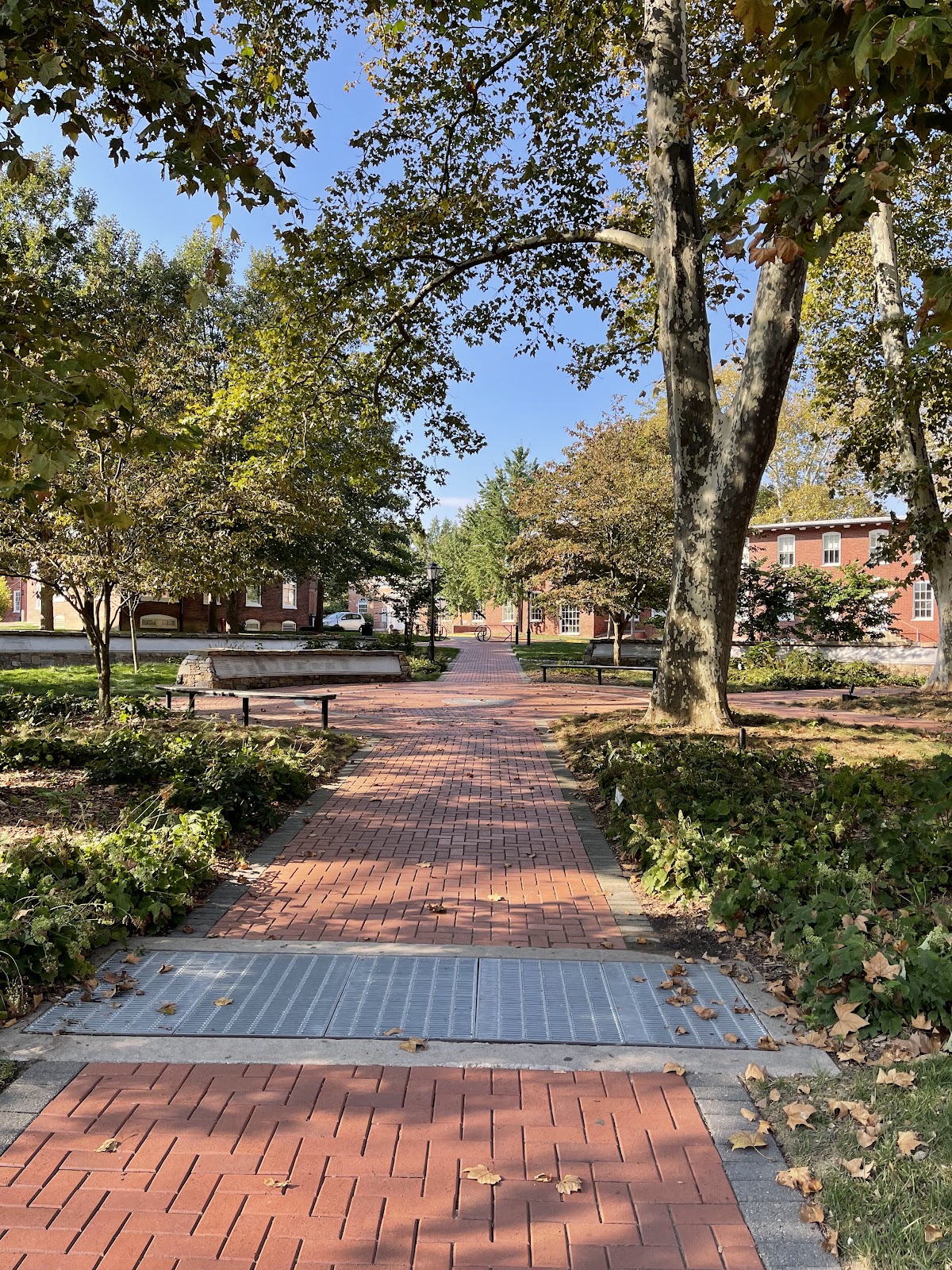 University of Delaware photo 8