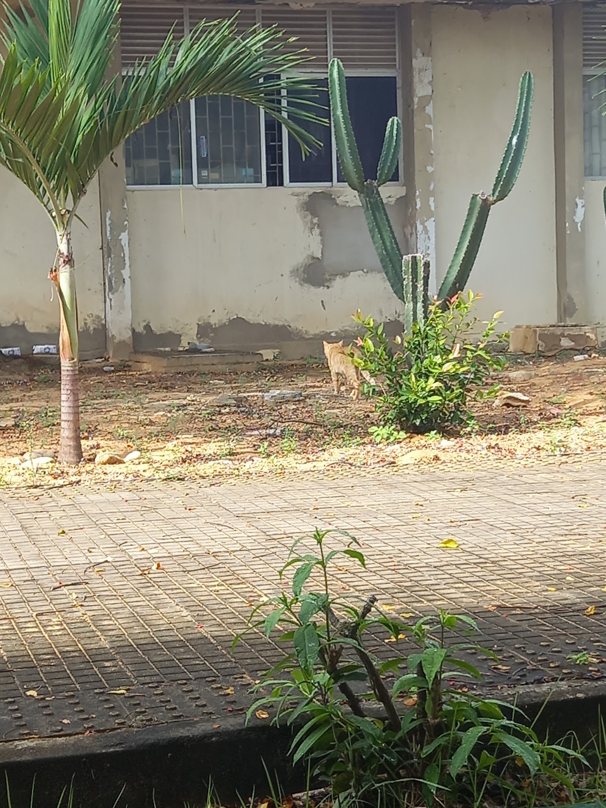 Federal University of Rio Grande do Norte photo 8