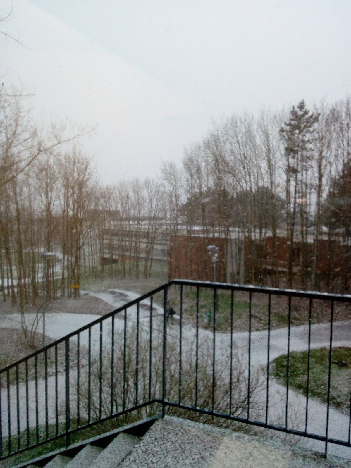 University of Reims Champagne-Ardenne photo 6