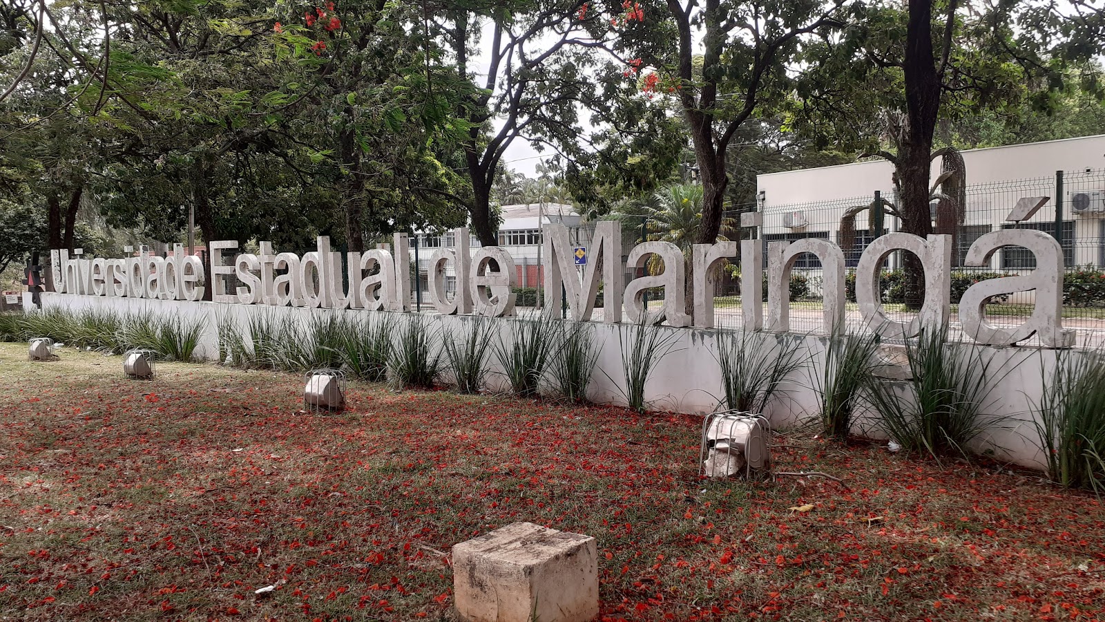 Maringá