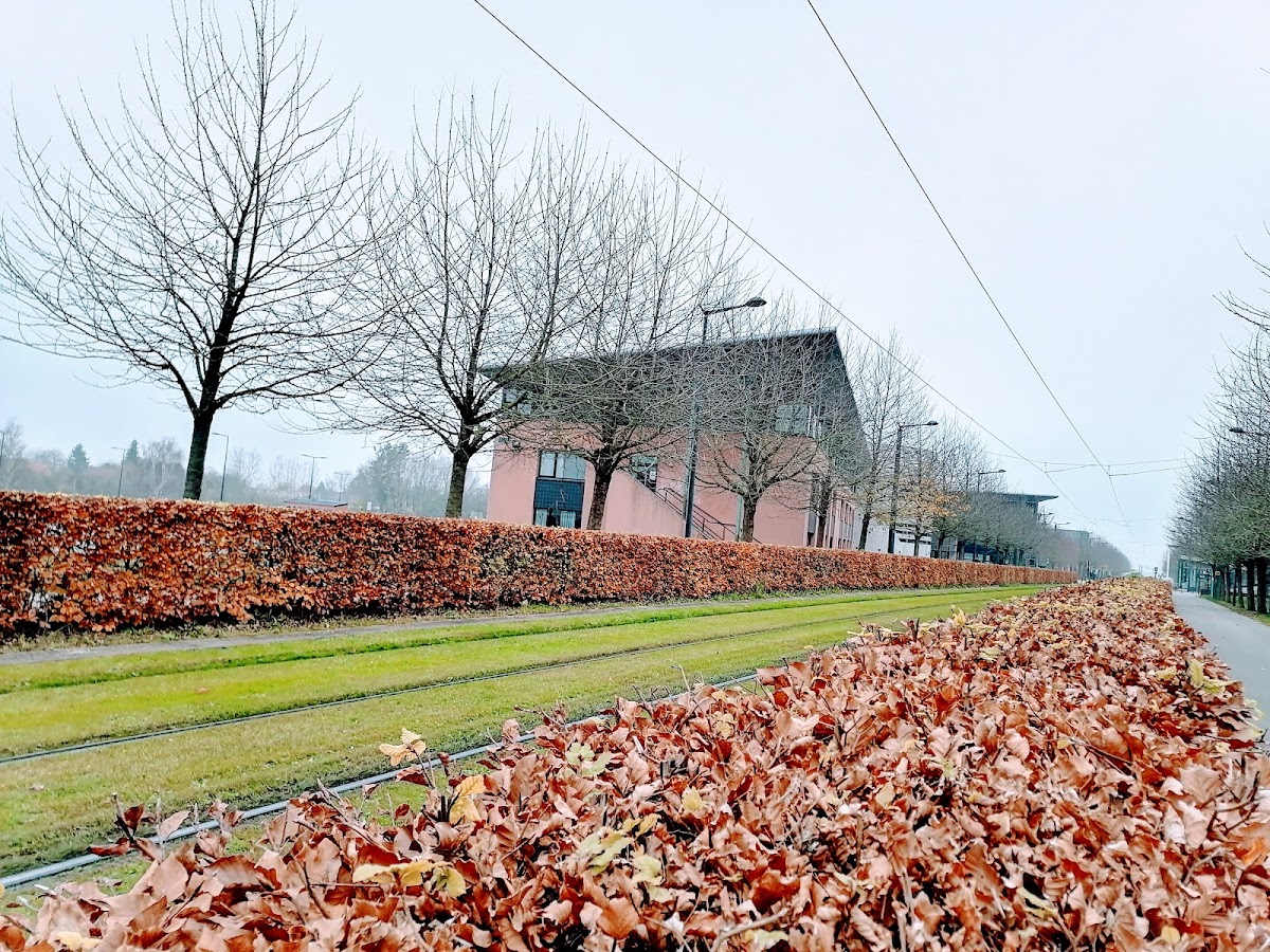 University of Valenciennes and Hainaut-Cambrésis photo 3