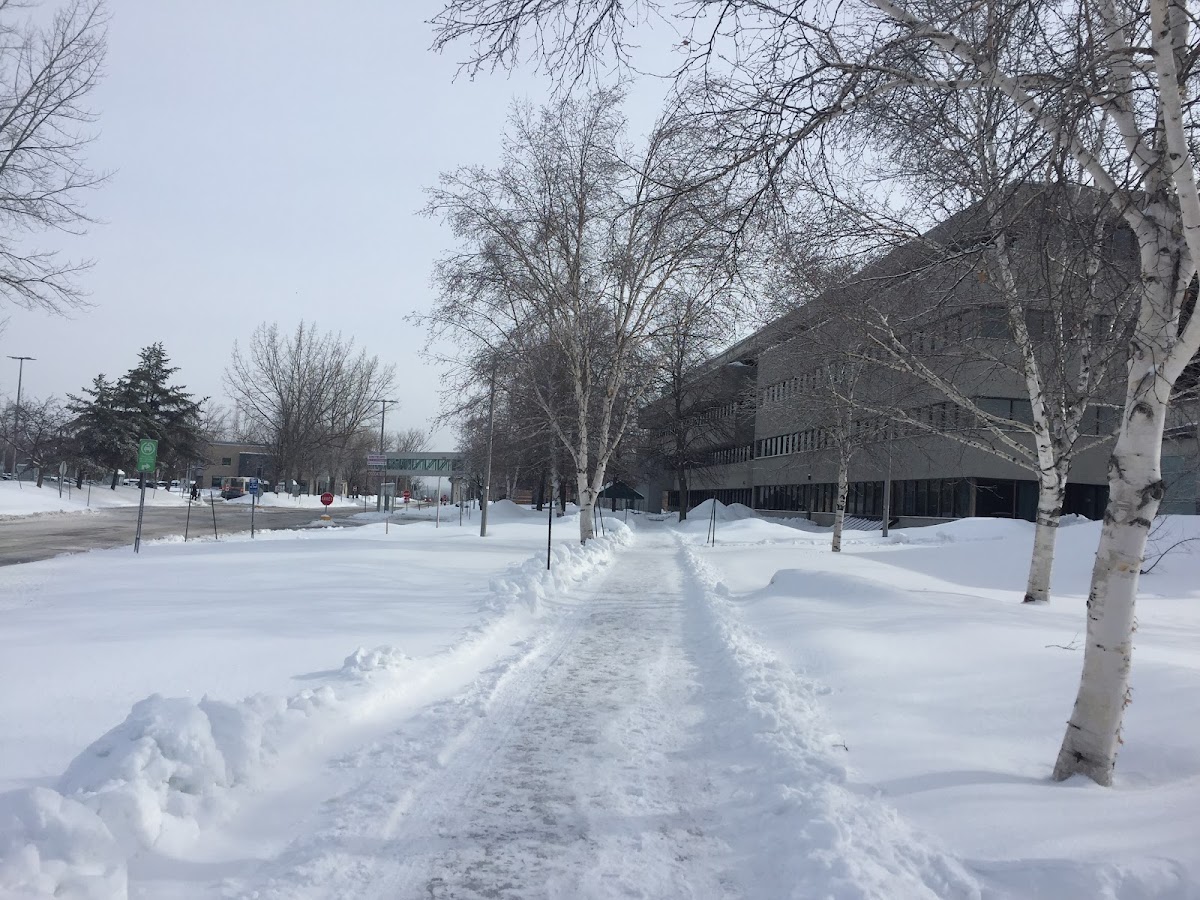 UQAC photo 4
