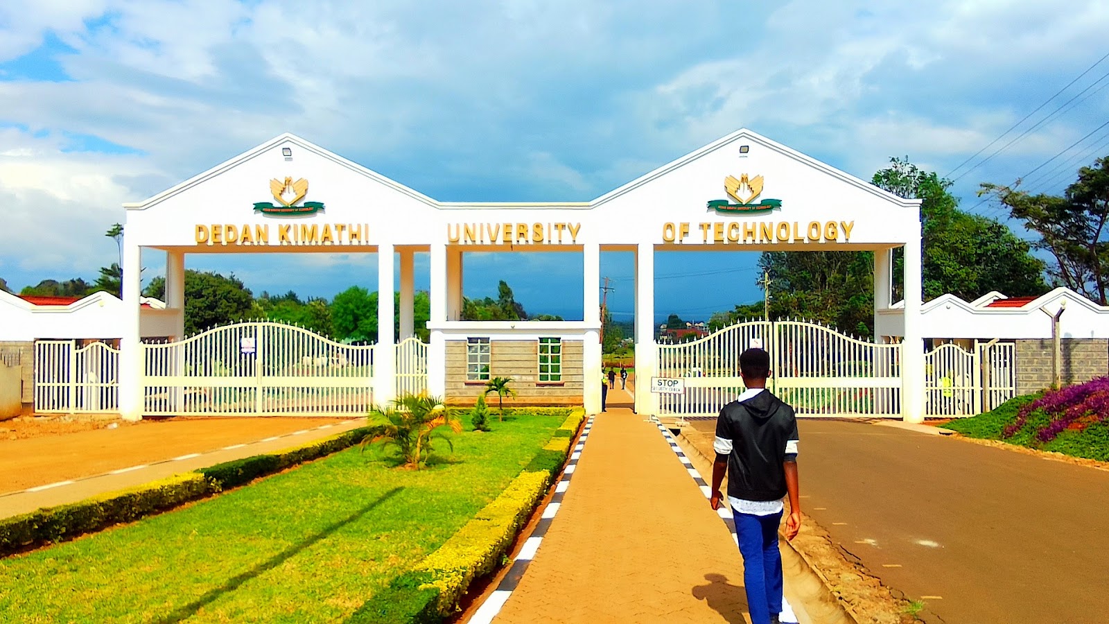 Nyeri