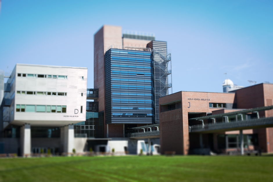 University of Agder photo 5