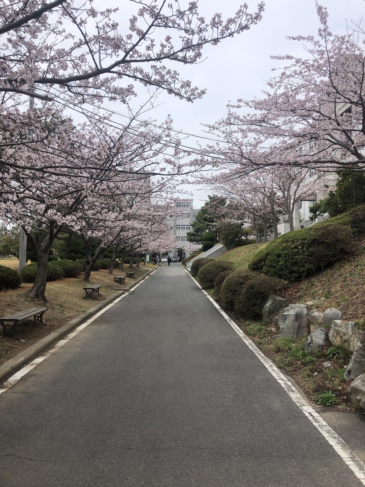 Korea Maritime & Ocean University photo 9