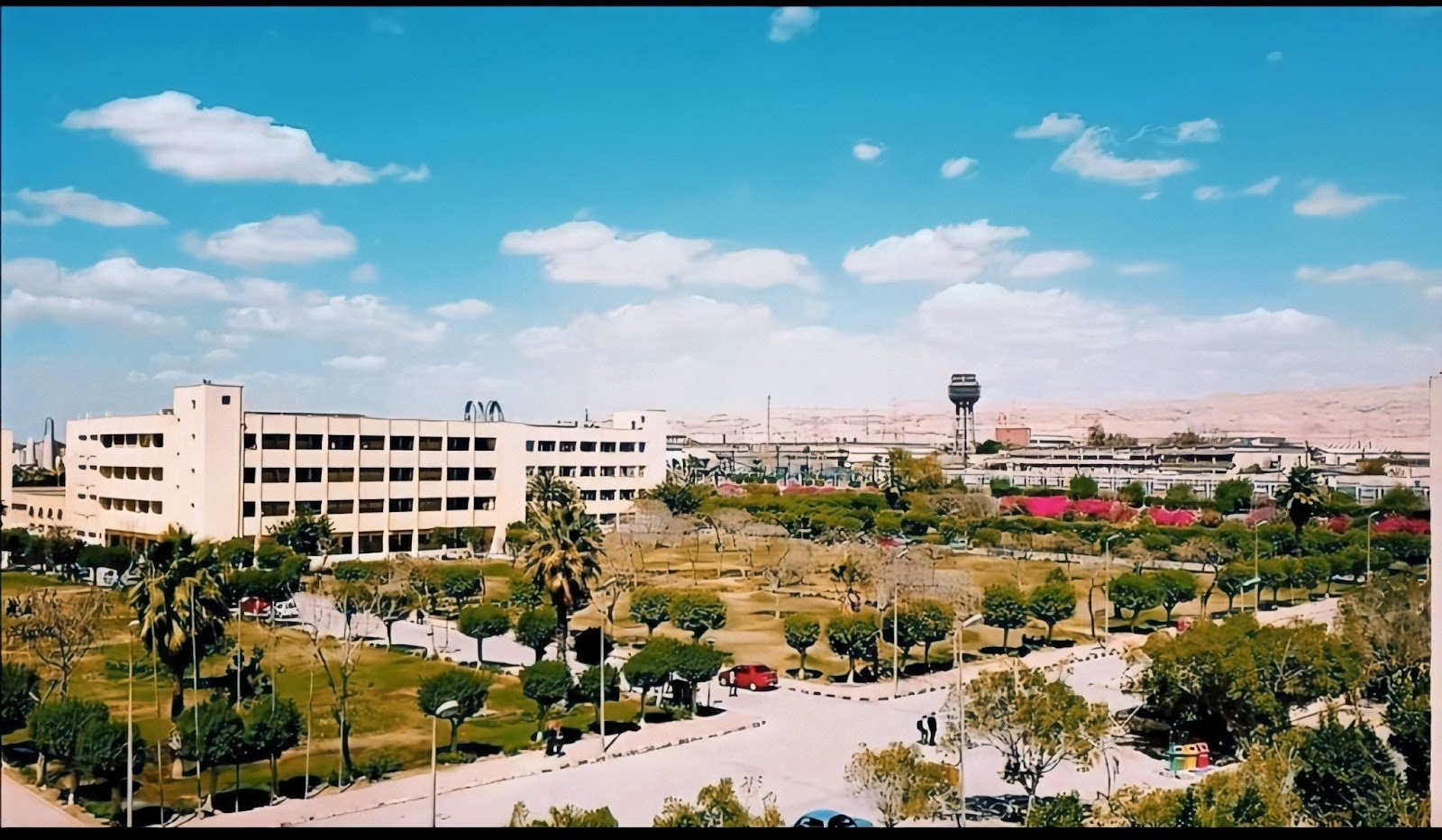 Helwan University