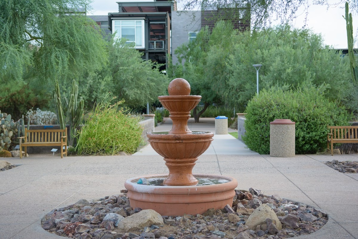 ASU Polytechnic photo 1