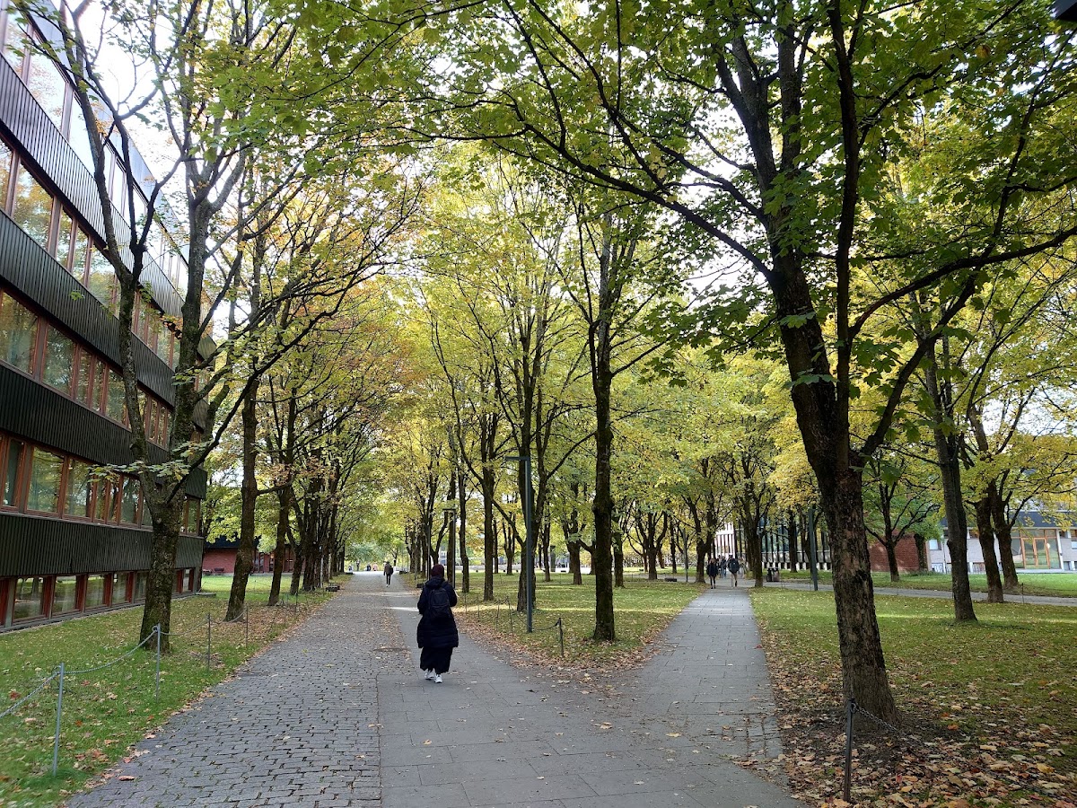 University of Oslo photo 2