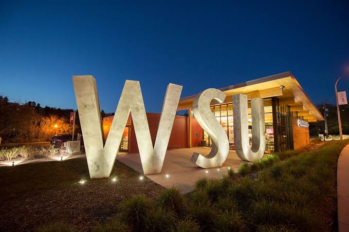 Washington State University photo 2