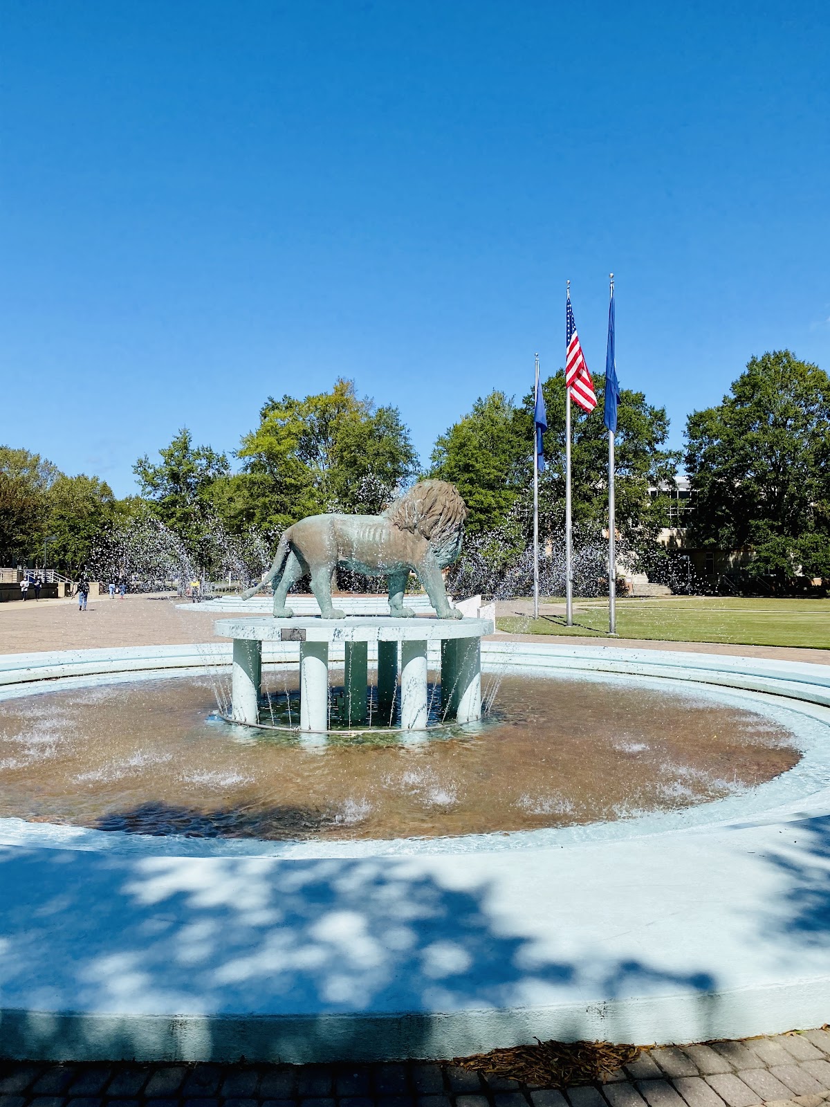Old Dominion University photo 8