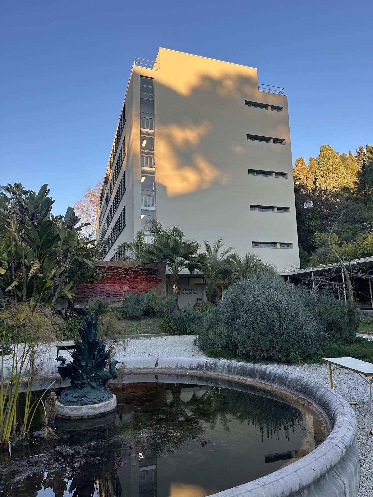 University of Nice Sophia Antipolis photo 9