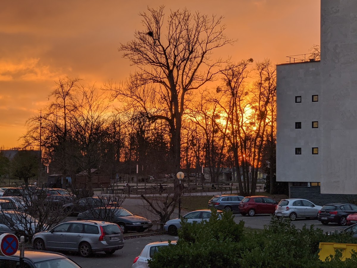 HEC Paris photo 4