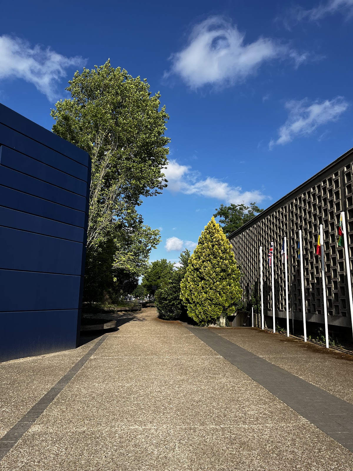 HEC Paris photo 8