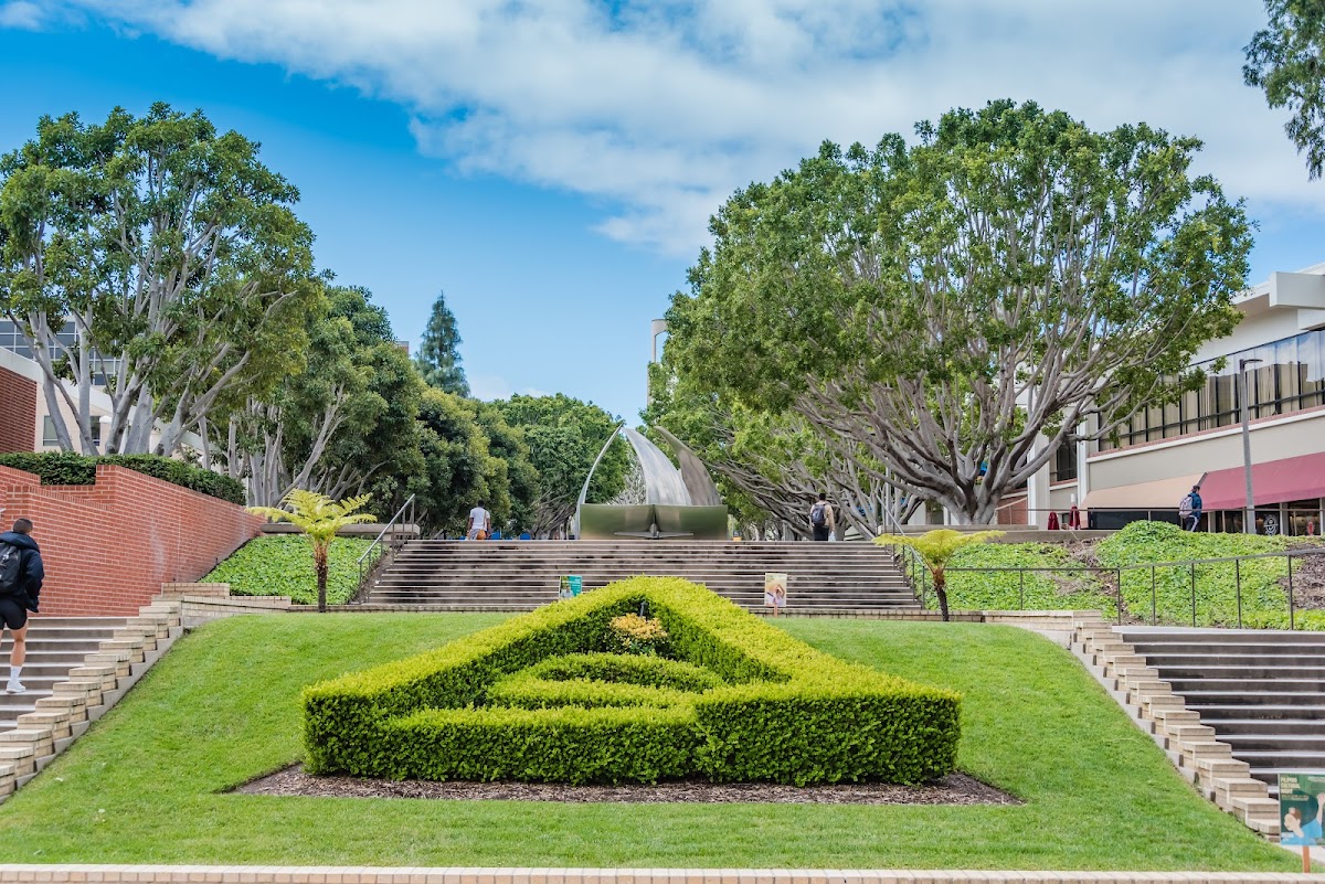 California State University Long Beach photo 2