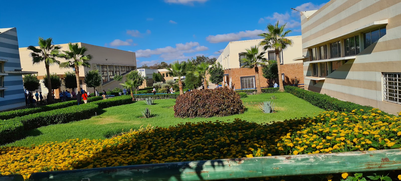 Settat