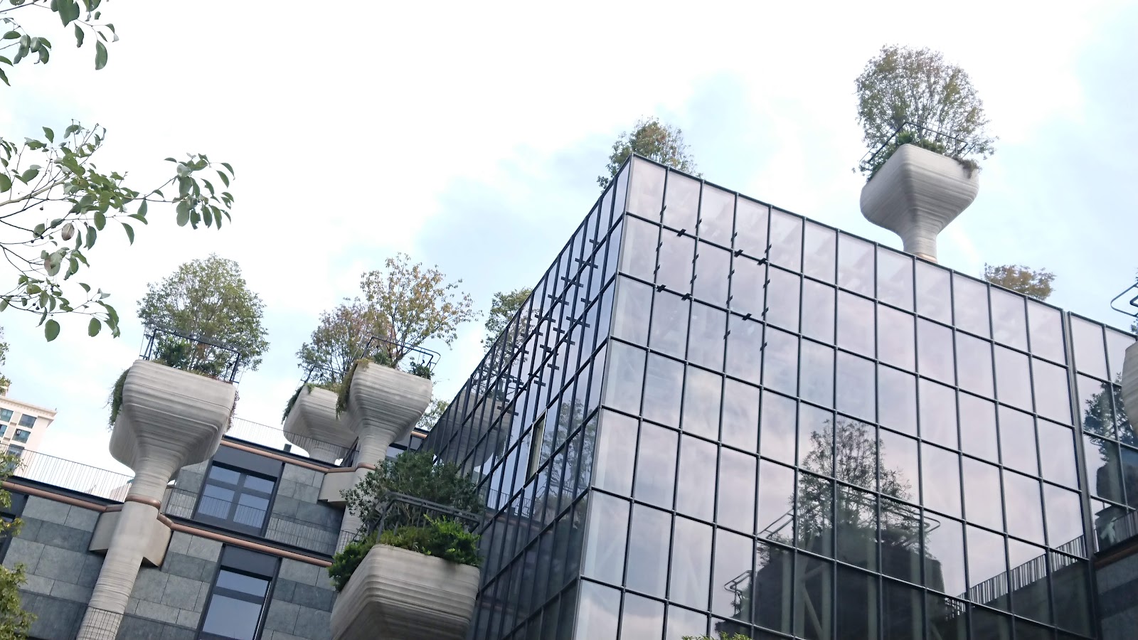 Tongji University