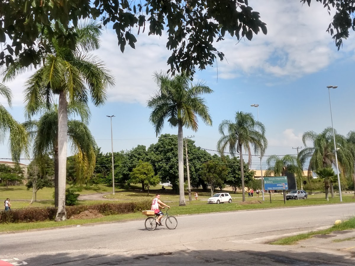 Federal University of Rio de Janeiro photo 5