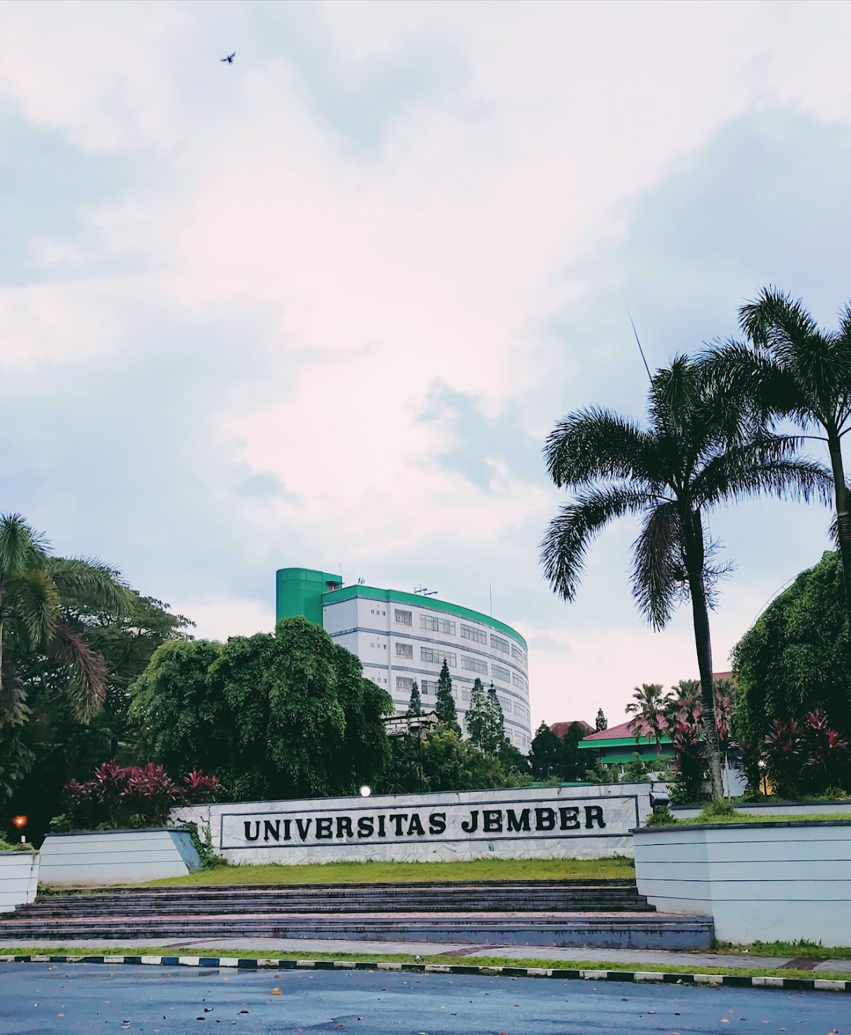 Universitas Jember photo 8