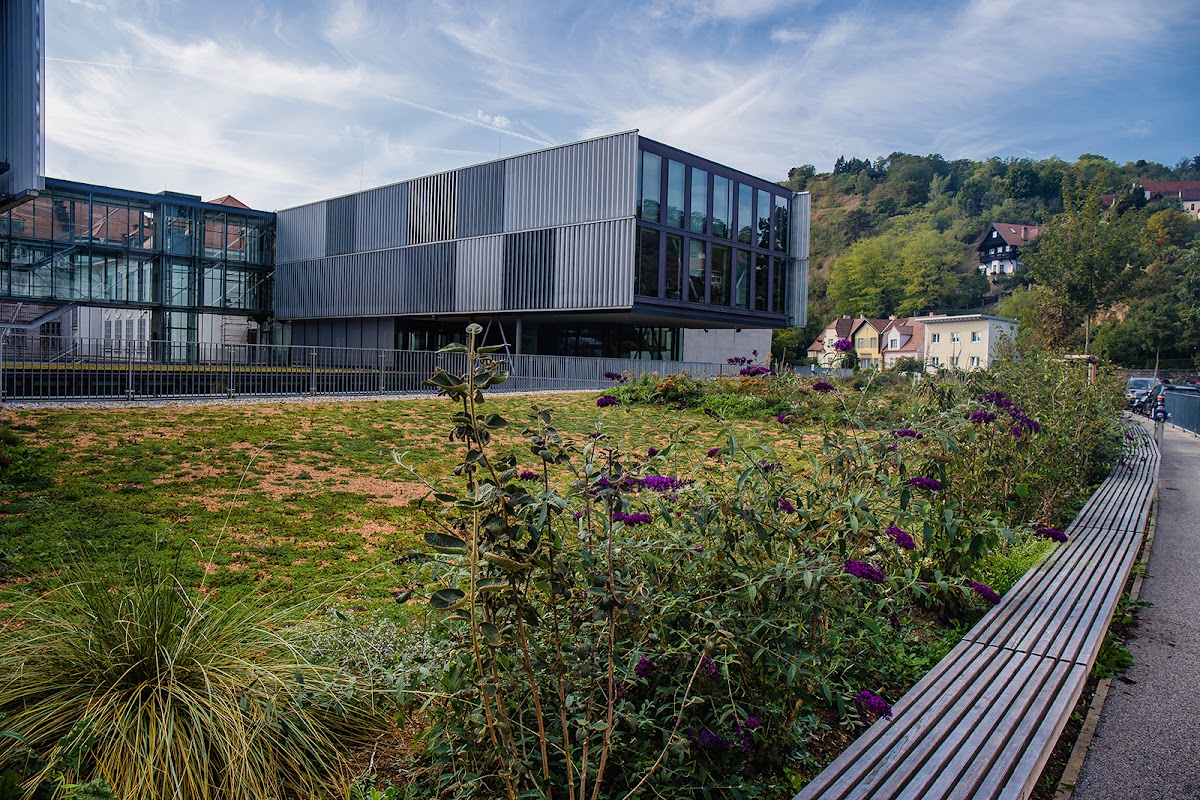 Danube University Krems photo 4