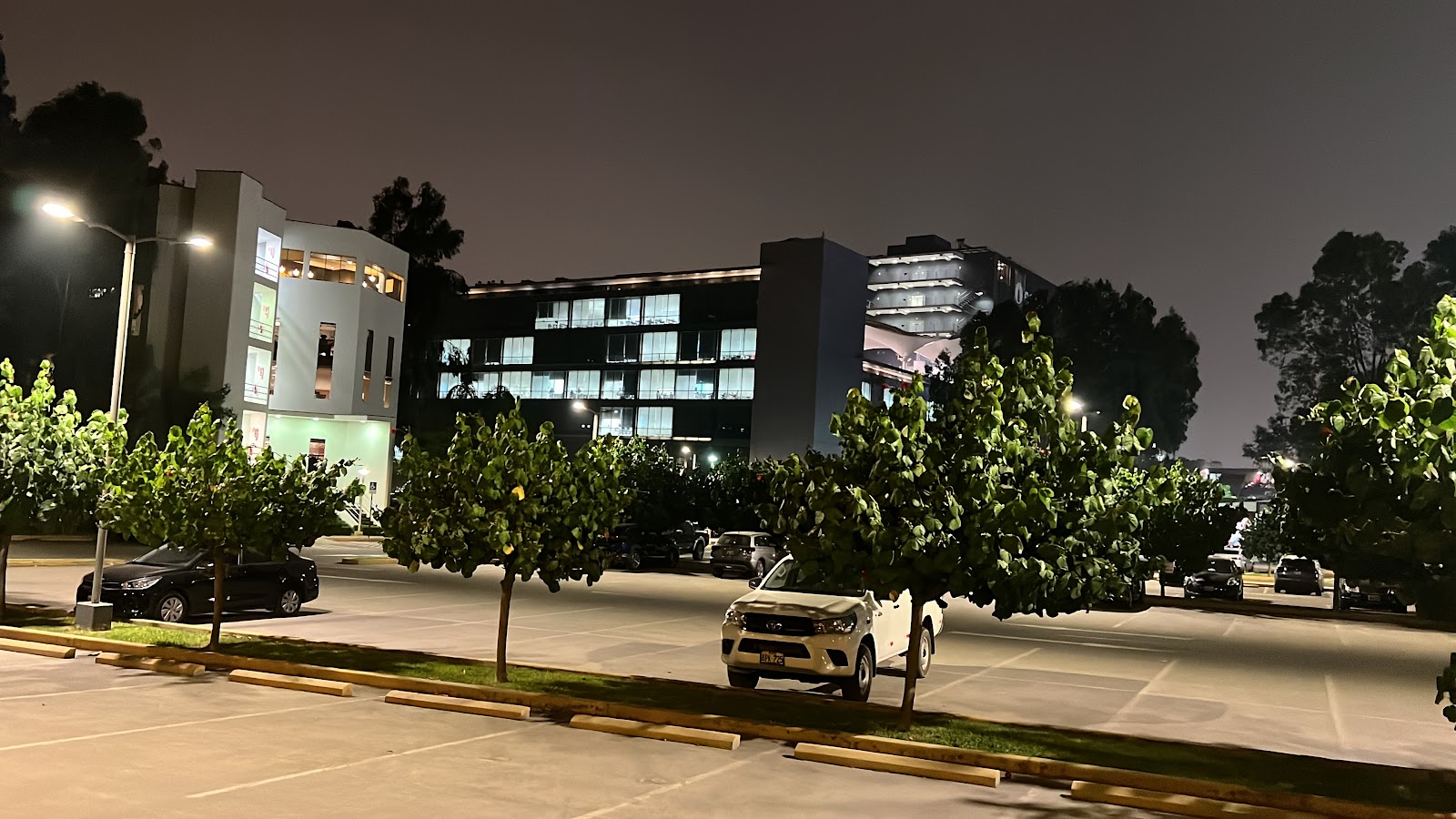 Universidad ESAN