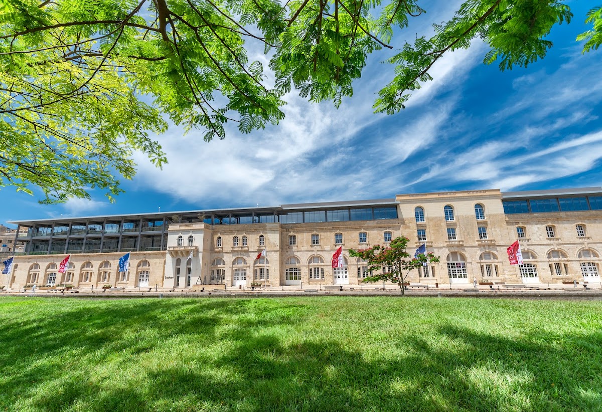American University of Malta photo 4