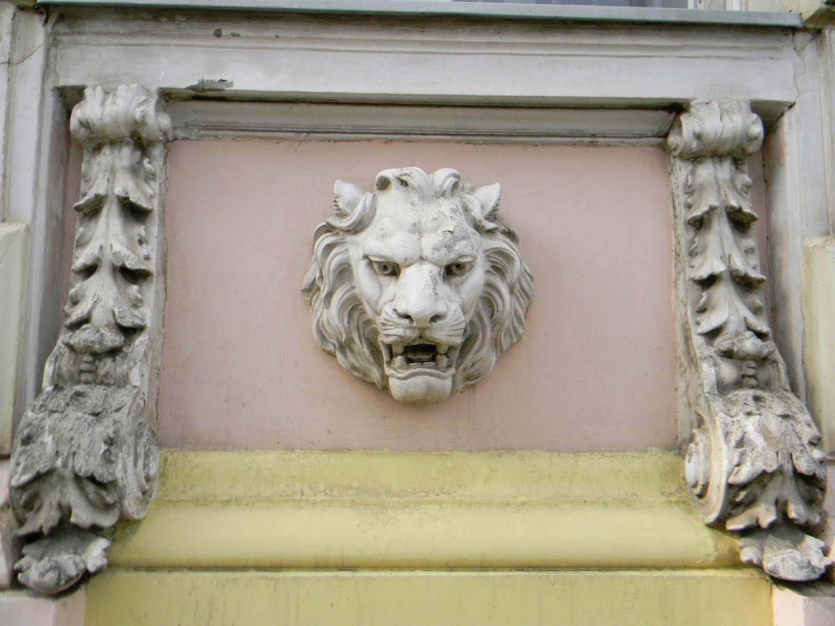 University of Arad photo 5