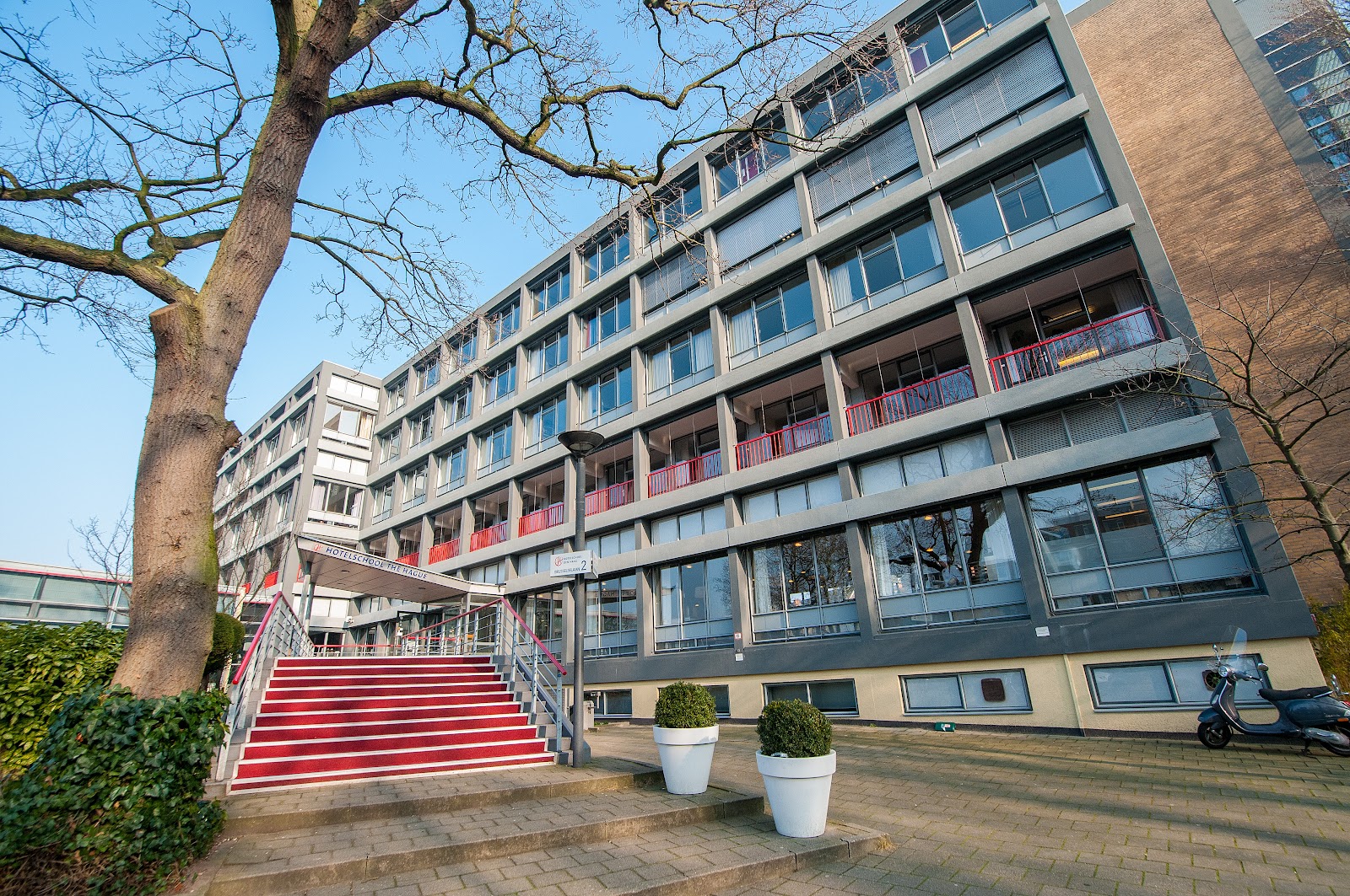 The Hague