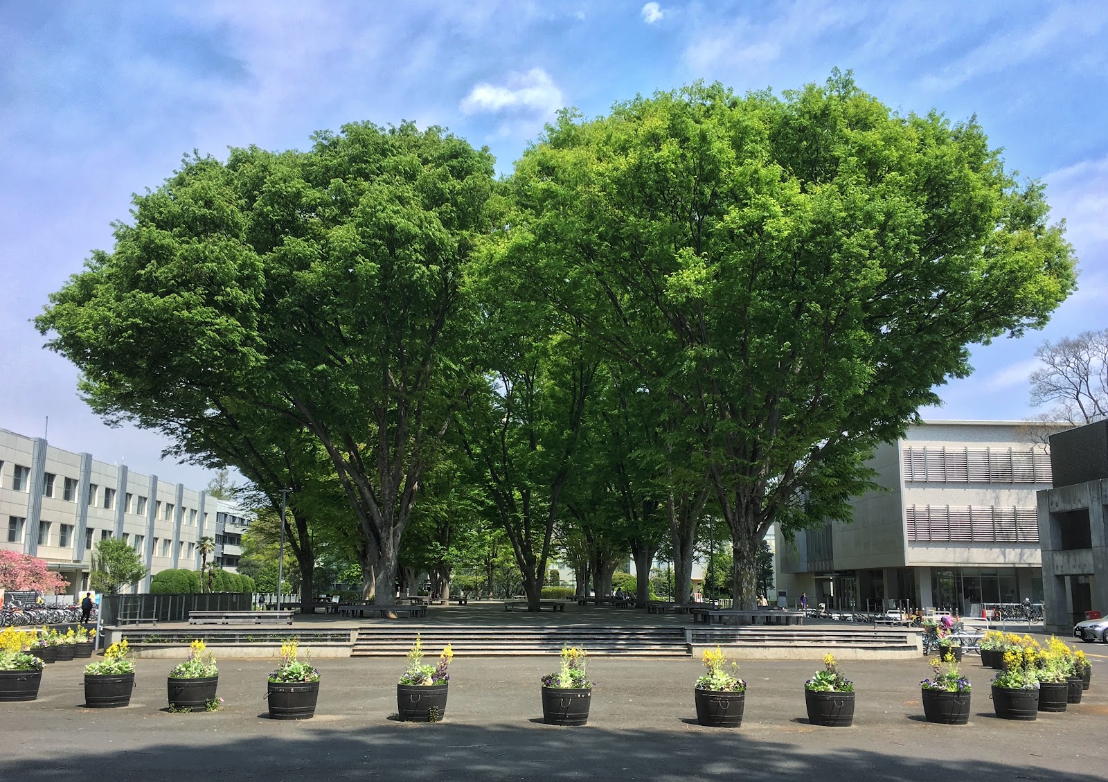 Tokyo Gakugei University campus